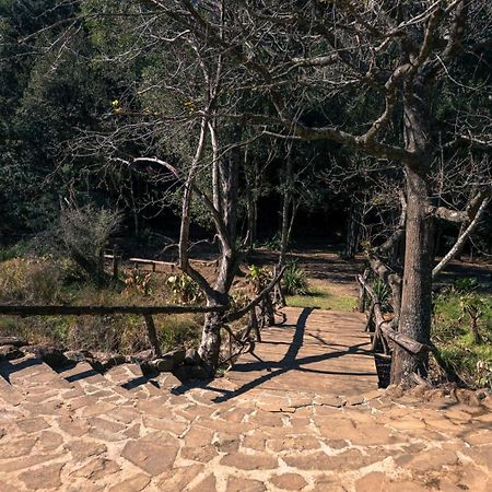 Anew Resort Ingeli Forest Kokstad Kokstad  Dış mekan fotoğraf