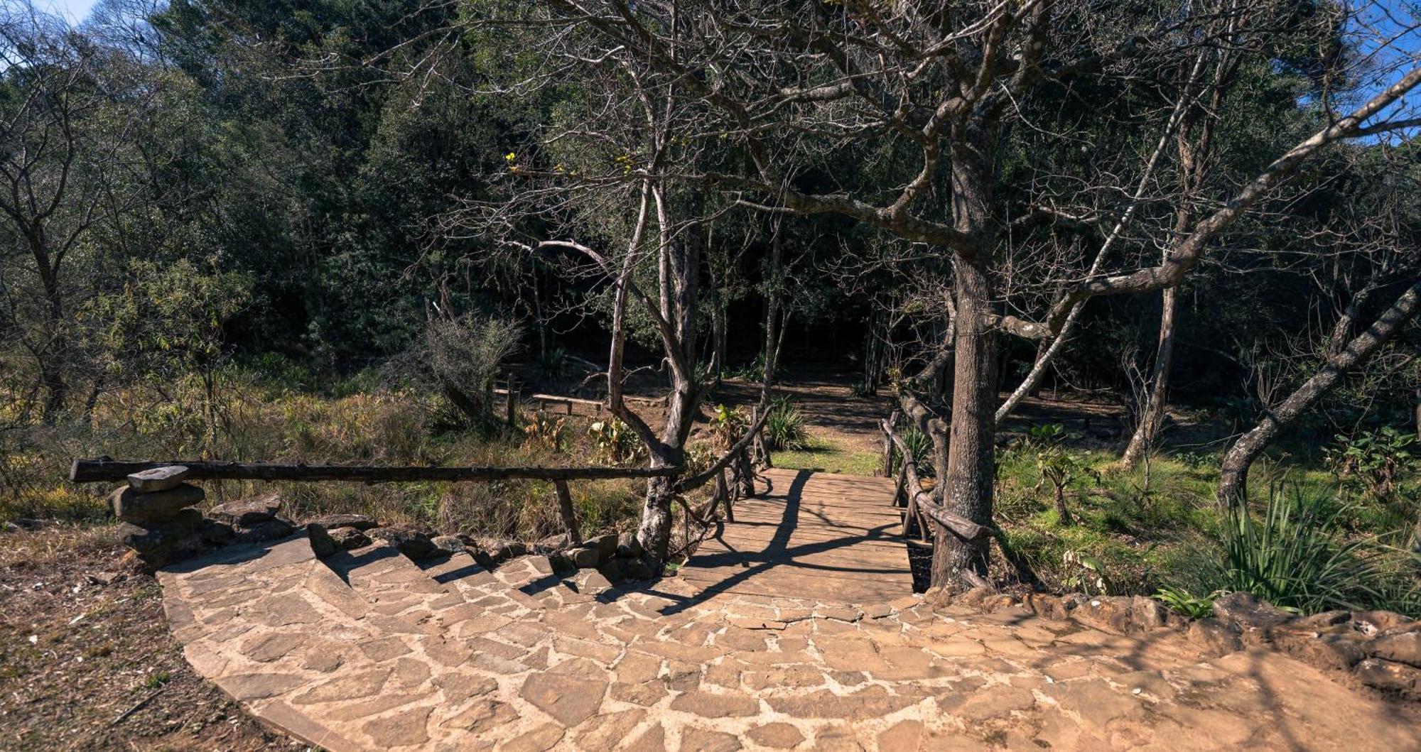 Anew Resort Ingeli Forest Kokstad Kokstad  Dış mekan fotoğraf