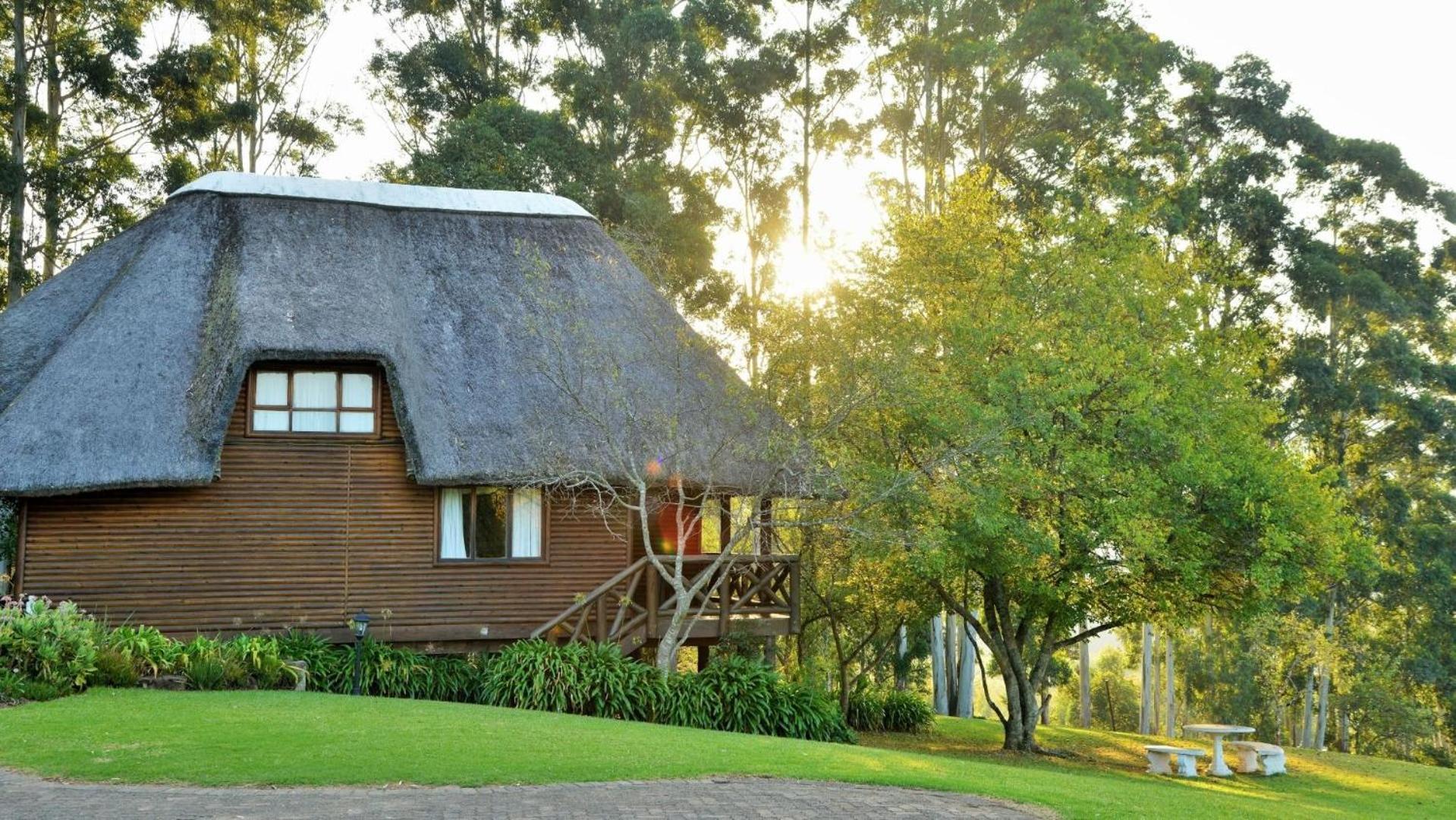Anew Resort Ingeli Forest Kokstad Kokstad  Dış mekan fotoğraf